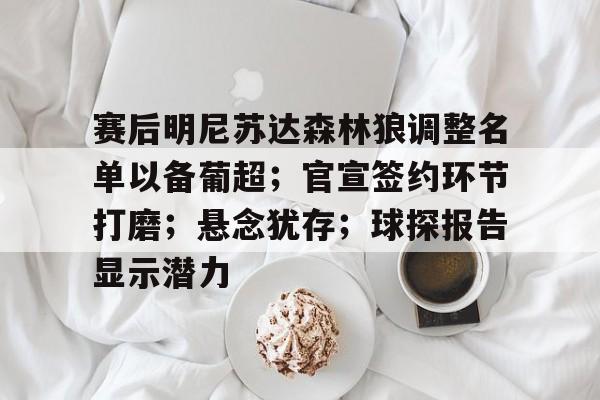 赛后明尼苏达森林狼调整名单以备葡超；官宣签约环节打磨；悬念犹存；球探报告显示潜力的简单介绍